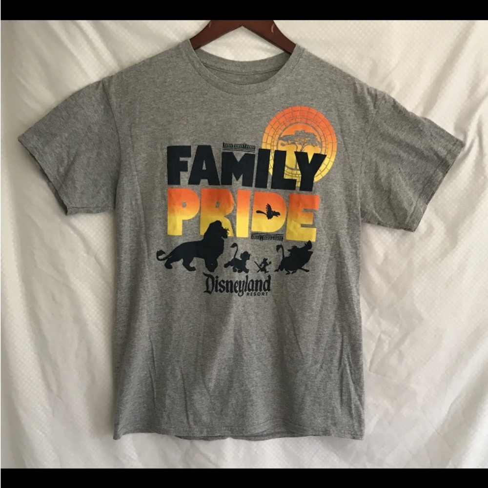 Disney Lion King Men’s Medium M Grey T-shirt “Family Pride” Disneyland Resort